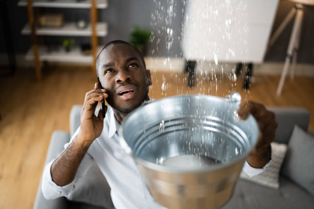 Best Carpet water damage restoration  in Vandalia, OH