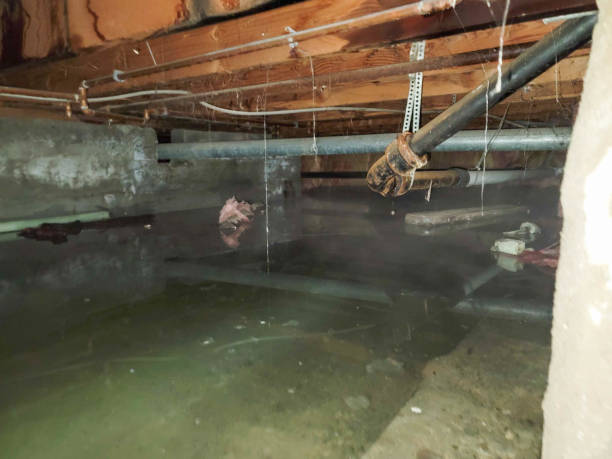 Best 24-hour water damage restoration  in Vandalia, OH