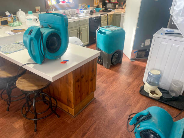 Best Flooded house restoration  in Vandalia, OH