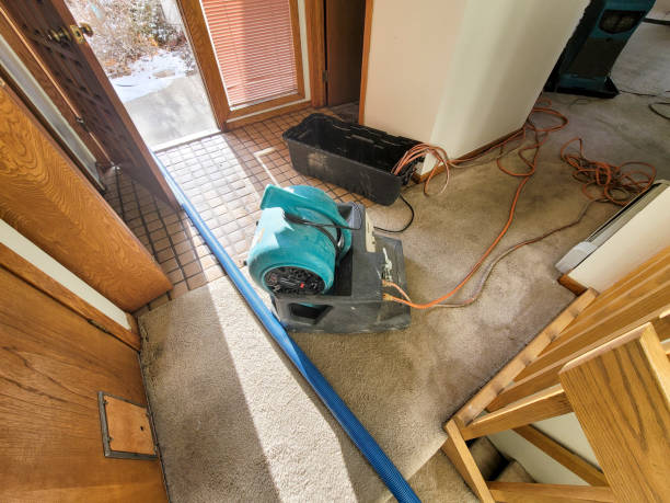 Water damage restoration experts in Vandalia, OH