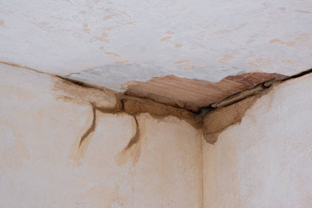 Best Water damage cleanup near me  in Vandalia, OH