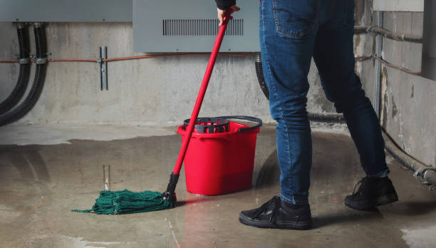  Vandalia, OH Water damage restoration Pros