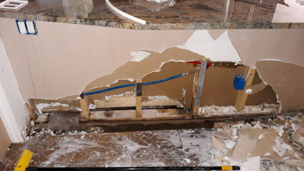 Best Carpet water damage restoration  in Vandalia, OH
