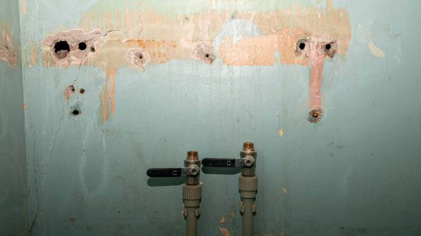Best Water damage restoration process  in Vandalia, OH
