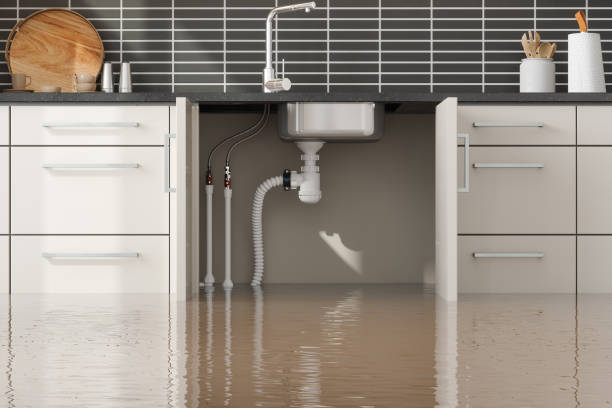 Best Commercial water damage restoration  in Vandalia, OH