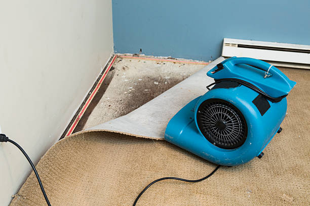 Best Sewage cleanup and water damage restoration  in Vandalia, OH